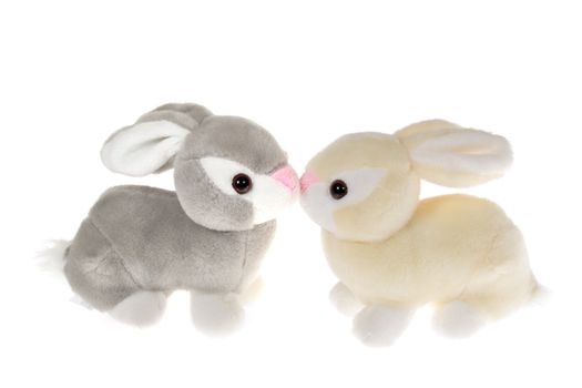 two bunnies, photo on the white background