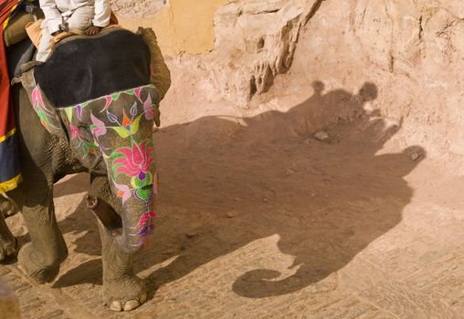 Decorated elephant transporting tourists to Amber Fort, Jaipur, Rajasthan, India.