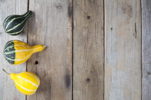 Mini pumpkin over old wooden background 