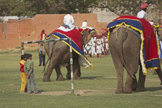 Children watch elephant polo during the elephant festival in Jaipur, India.