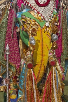 Head of a decorated elephant at the annual elephant festival in Jaipur, India