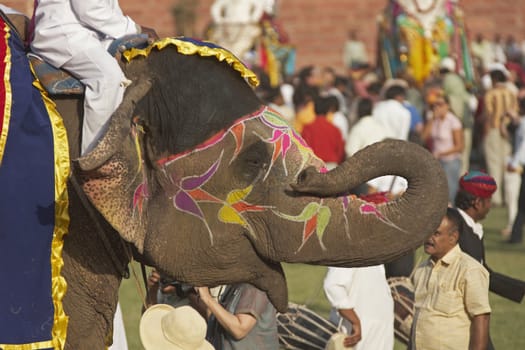 Decorated elephant amongst the crowds at the annual elephant festival in Jaipur, India.
