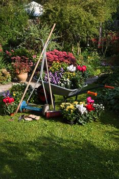 Wheelbarrow, grass mower, garden equipment, tools, preparing for planting new plants in the garden on early September morning