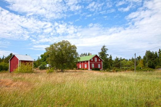 Summer landscape with red houses