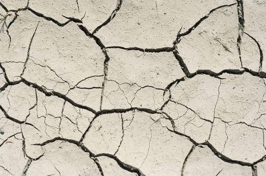Detail of the parched earth