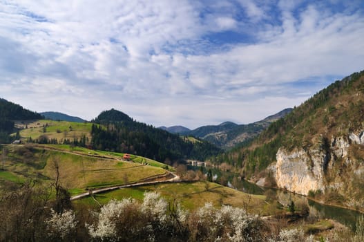Morning in mountain landscape with spring colors