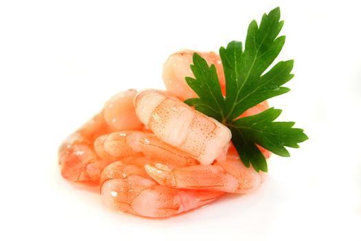 fresh shrimp with parsley on a white background