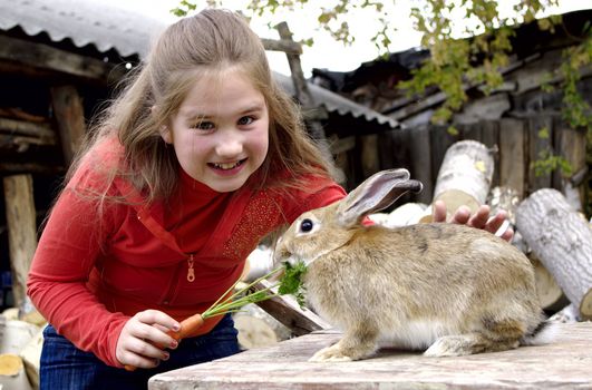 girl stroks rabbit and feeds on carrot  