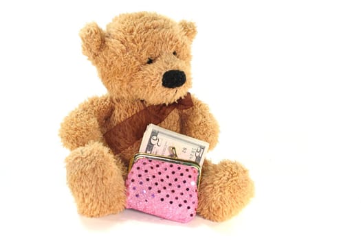 Teddy with purse with lots of dollar bills