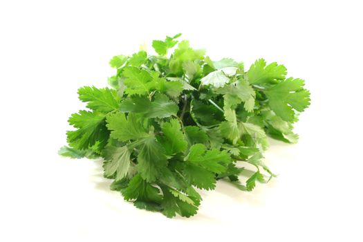 a bunch of fresh Coriander on a white background