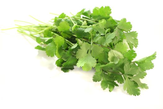 a bunch of fresh Coriander on a white background