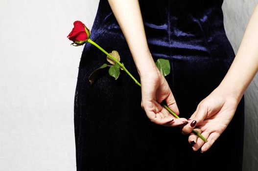 a red rose in woman hand