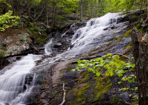 Overall Run waterfall is the highest waterfall in Virginia if its sections are taken into account.