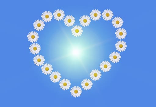 a heart made of daisies on blue background