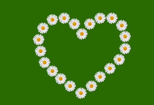 a heart made of daisies