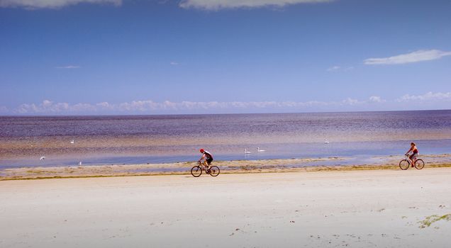 Healthiest and most pleasant cycling in summer at seaside. Active leisure.