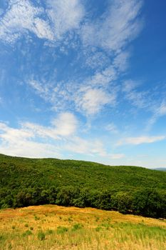 Hill In Tuscany, Covered With Beech Forests