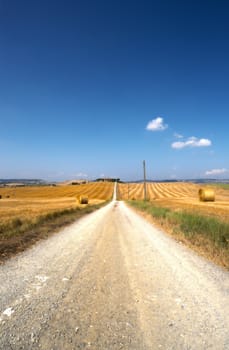 The Dirt Road Between The Fields Of Tuscany