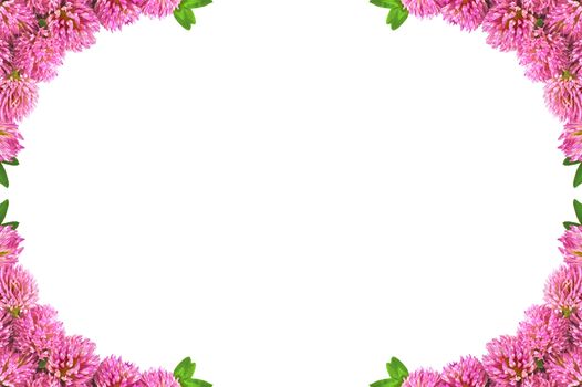 Frame made flowers of clover and green leaves isolated on white background