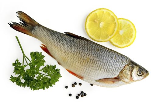Fresh fish, two slices of lemon, a sprig of parsley, black pepper isolated on white background