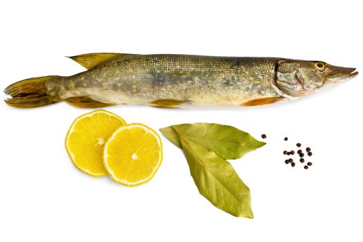 Fresh fish, two slices of lemon, two bay leaves, black pepper isolated on white background