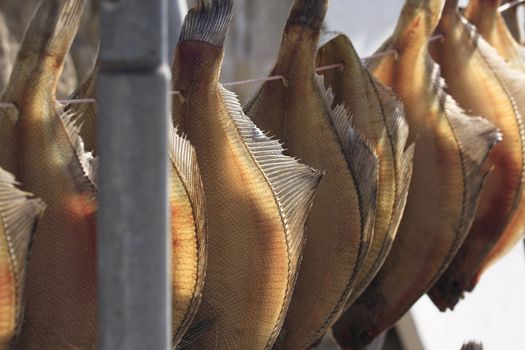 Dried fish arrange to dried, practice in korea.