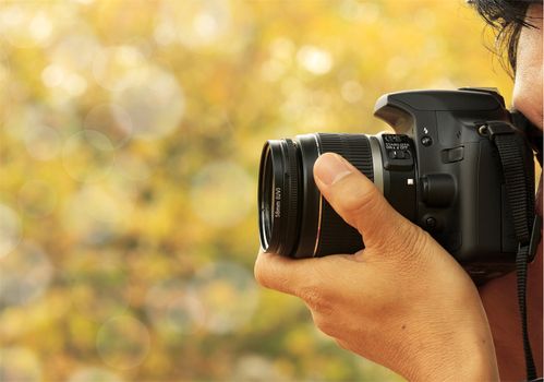 Photographer taking a shoot with a nice bokeh background.
