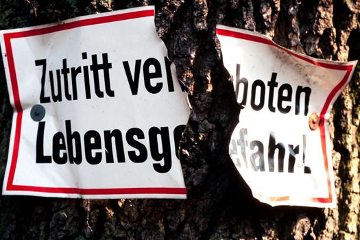 Sign torn apart by growing tree trunk.