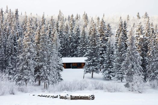 White Christmas in cottage on frozen lake snow covered spruce trees of boreal forest.
