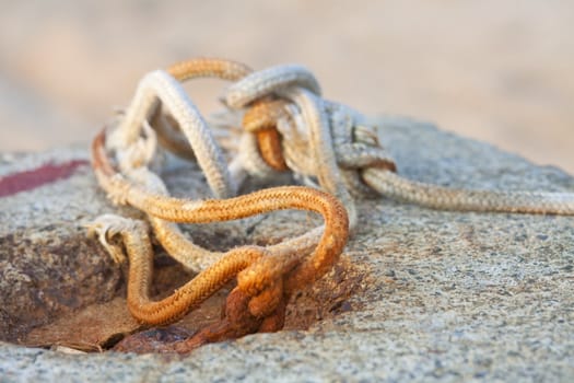 Close-up of rope on stone