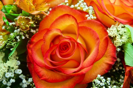 closeup of vibrant orange roses flower bouquet