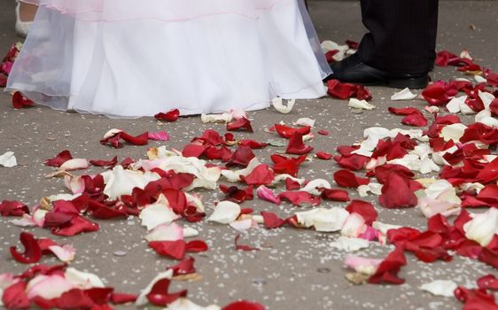Petals of roses at feet of married couple