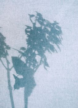 silhouette of the flower on heavy curtain