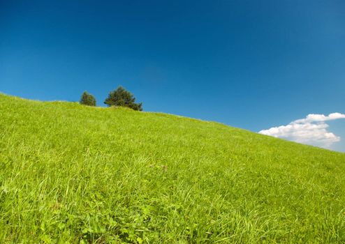 Year landscape,green hill,emerald herb, blue sky