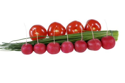 vegetables lying side by side isolated on white background