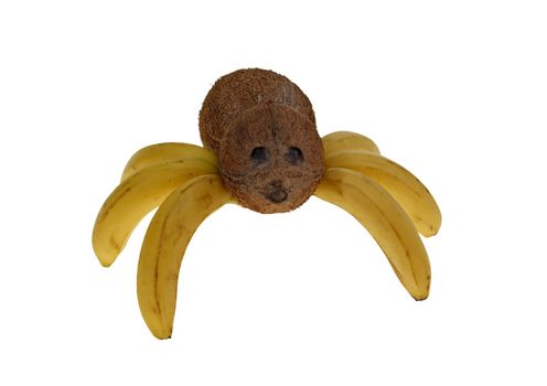 spider made of bananas and coconuts isolated on white backround