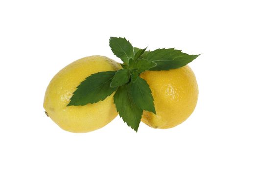 large ripe lemons with mint isolated on white background