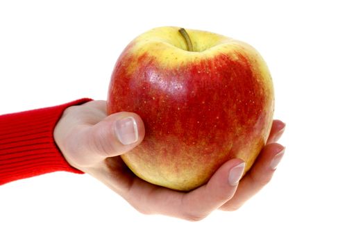 large apple kept in palm isolated on white background
