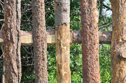 Fence from wooden boards on a summer residence in the vicinities of Moscow, Russia