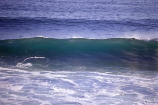 Wave on Pacific Ocean