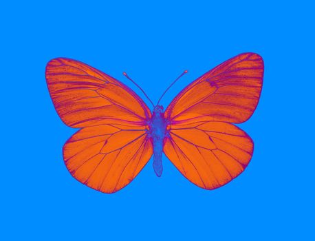 Alien butterfly