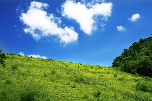 north mountains and green grass 
