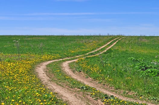 Country dirt road across the field, spring sunny day