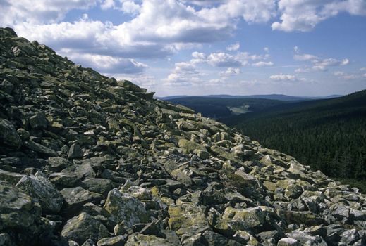 Summit of Lusen (Bavarian Forest)