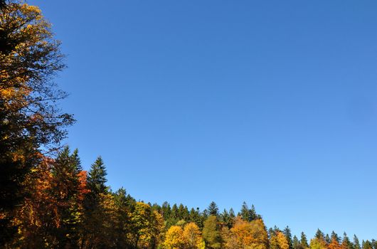 Fall frame with copy space