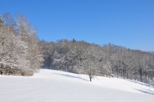 Winter landscape in Bavaria