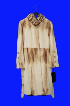 Fur Women's coat on a hanger, isolated on a blue background.