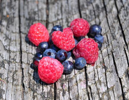 Wood berries on wood