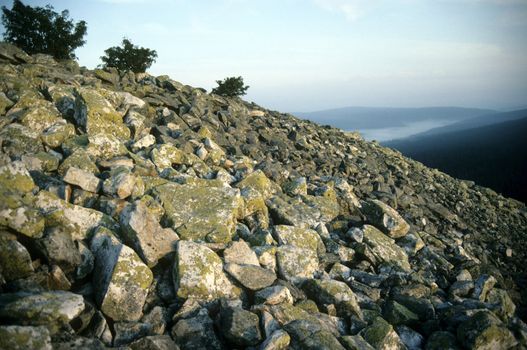 Summit of Lusen (Bavarian Forest)