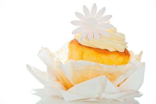 Cupcake with vanilla cream and sugar flower on a white background